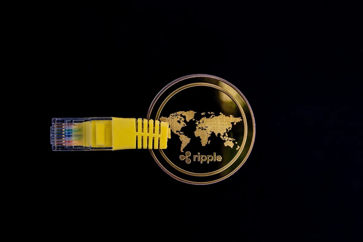 weatherproof Ethernet cable running along a garden fence toward a small detached office